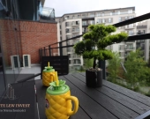 NOWY Apartament PREMIUM | 2 pokoje | BEZ KAUCJI | Zdjęcie 5