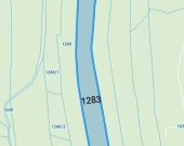 Działki leśne - 6 hektarów | Zdjęcie 2