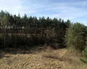 Działka nad Zalewem w Rydzynie | Zdjęcie 2