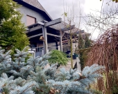 5pok, 250met, oś. Sienkiewicza PIWNICA/OGRÓD/GARAŻ (Legnica) | Zdjęcie 5