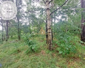 Działka budowlana 1 linia brzegowa Inwestycja | Zdjęcie 4