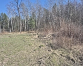 z prywatnym lasem, za działką też stare lasy | Zdjęcie 2