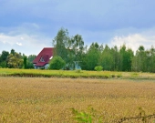 Działki rolne na sprzedaż w obrębie Gałowa | Zdjęcie 3