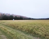 Malownicza działka 1,22 ha przy lesie – Radawie | Zdjęcie 1