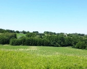 Działka budowlana z częścią pod rekreacje | Zdjęcie 2