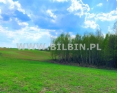 Działka z linią brzegową do jeziora Boczniel ! | Zdjęcie 3