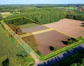 Duża działka budowlana z własnym lasem – 7012 m² | Zdjęcie 8