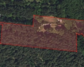 Siedlisko z domem i lasem, Gajowniki | Zdjęcie 9