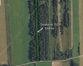 Dwie działki: rolna i leśna - Sojczyn Grądowy | Zdjęcie 2