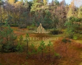 2Urokliwe działki Blisko jeziora Inwestycja Kamień | Zdjęcie 5