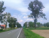 Działka 7374m2 ,budowlano-rolna, Dąbrowa Oleśnicka | Zdjęcie 1