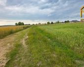 Działka z wydanymi warunkami zabudowy w gminie Lis | Zdjęcie 8