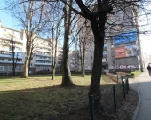 2pok, 39met, okolice Ogrodu Botaniczego PIWNICA/WINDA (Wrocław) | Zdjęcie 12