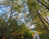 wz, lokalizacja, możliwość dokupienia działek obok | Zdjęcie 1