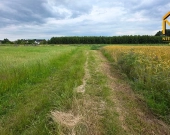 Działka rolna 0,37 ha w Łukowej | Zdjęcie 5