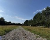 Działki budowlane Piskórka | Zdjęcie 3