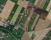 Działka rolna 3,5 ha | Dojazd asfaltowy | Zdjęcie 5