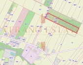 Działka rolna 3,5 ha | Dojazd asfaltowy | Zdjęcie 4