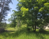 za Sarnią, 3 do wyboru, warunki zabudowy | Zdjęcie 5