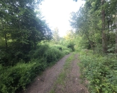 Piękna okolica, MPZP, woda i prąd | Zdjęcie 3