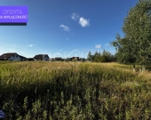 Odkryj Magię Podkowy Leśnej–Perła Nadolic Wielkich | Zdjęcie 3