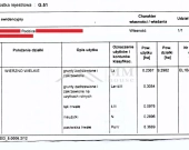 DZIAŁKI ROLNE koło Fromborka - DOBRA CENA! | Zdjęcie 1