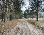 WZ | Media | Droga gminna | Prostokąt | Zalew w Ra | Zdjęcie 7