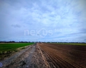 Wyjątkowa działka budowlana 976,56 m² – Świerzna | Zdjęcie 4