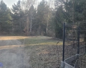 lasy, warunki zabudowy, sąsiedztwo, lokalizacja | Zdjęcie 1