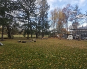 nieduża przy Klonowej, media, drzewa, lokalizacja | Zdjęcie 5