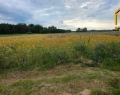 Działka z wydanymi warunkami zabudowy w gminie Lis | Zdjęcie 5