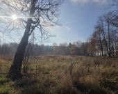 pod produkcję, magazyny lub usługi | Zdjęcie 7