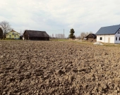 Działki-  Pierszyce, gm. Żabno | Zdjęcie 6