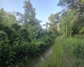 Piękna okolica, MPZP, woda i prąd | Zdjęcie 5