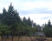 Atrakcyjna działka budowlana | Zdjęcie 1