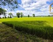 Działka pod zabudowę mieszkaniowo-usługową na gran | Zdjęcie 6