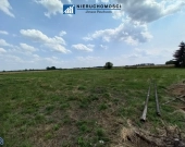 działka budowlana 73ar, Kłębanowice/Polkowice | Zdjęcie 2