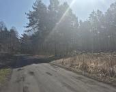 prywatny las, wz - dom jednorodzinny, droga gminna | Zdjęcie 1