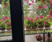 1pok, 33met, Okolice Lelewela BALKON/PIWNICA/PARKING (Wrocław) | Zdjęcie 6