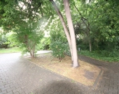 1pok, 25met, okolice Oławskiej PIWNICA (Wrocław) | Zdjęcie 9