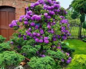 Liszkowo, mieszkanie  z ogrodem, garażem w domu. | Zdjęcie 4