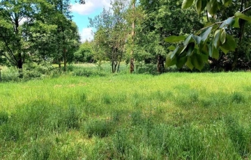 Zdjęcie główne ogłoszenia Działka Budowlana (4169 m2) Okolice Prostej (Ligota Piękna)