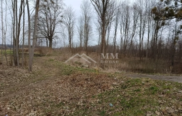 Zdjęcie główne ogłoszenia Żelazna Góra działka budowlana.