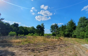 Zdjęcie główne ogłoszenia Krucza blisko Złotej, wz, lokalizacja, media