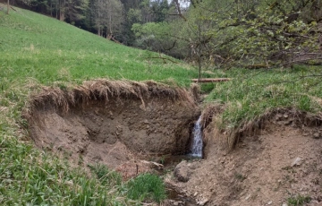 Zdjęcie główne ogłoszenia Działki inwestycyjno-budowlane Duszniki-Zdrój, SKI