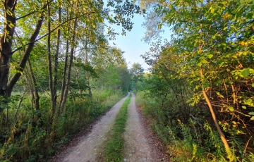 Zdjęcie główne ogłoszenia wz, lokalizacja, możliwość dokupienia działek obok