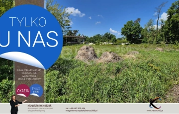 Zdjęcie główne ogłoszenia Nieruchomość usługowa zabudowana - w cenie gruntu