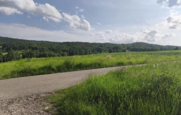 Zdjęcie główne ogłoszenia Lipnica Dolna - 7 hektarów 33 ary