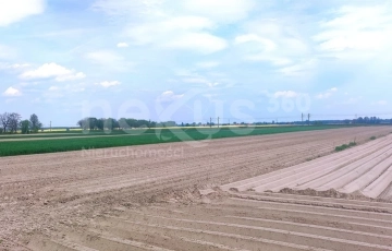 Zdjęcie główne ogłoszenia Działka 7374m2 ,budowlano-rolna, Dąbrowa Oleśnicka