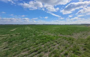 Zdjęcie główne ogłoszenia Sprzedaż 1,58 ha - budownictwo mieszkaniowe Opole